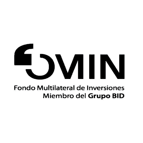 fomin