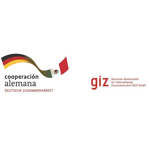 giz