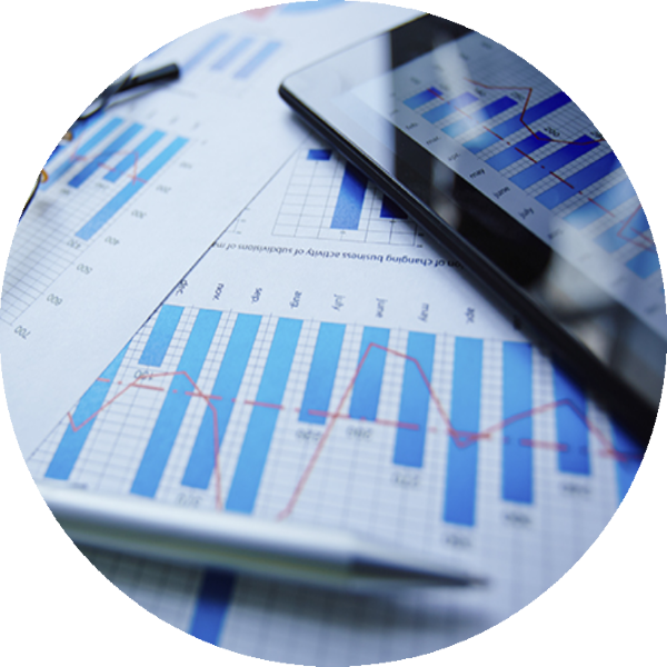 Team